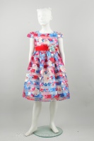 Платье для девочки Rodeng SQ1924057